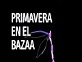 PRIMAVERA EN EL BAZAAR