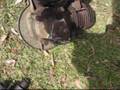 videos de Cleanup the shed