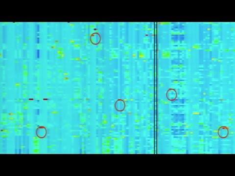 how to isolate ribosomes