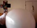 Trapped in a Balloon Trapped in a Balloon