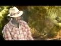 Anthony Hamilton featuring David Banner- Cool