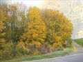 November November