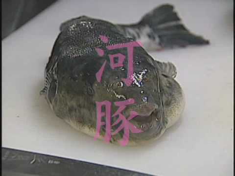 Video Onsen Minshuku Otsuka