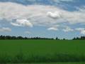 Green Field Timelapse
