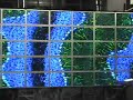 TileViewer - Rat brain