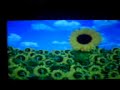 MOV00001.3gp