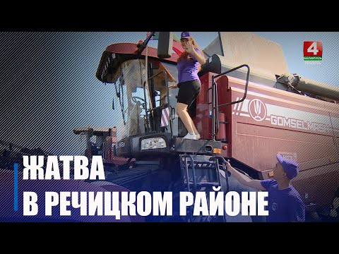 Узнали, как обстоят дела с жатвой в Речицком районе видео