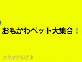 おもかわペット大集合「お辞儀をしてみる」