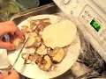 Mushroom Myster Ey ~ Mushroom Myster Ey ~