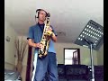 Tenor Sax Pink Floyd Us and Them Murray Dellow Tenor Sax Pink Floyd Us and Them Murray Dellow