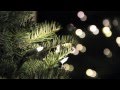 Canon T3i Test Footage - Indoor & Outdoor Video Recordings