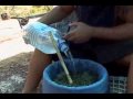 Bubble Bag Hashish From Shake, Leaf or Bud (Part 1 of 8) Bubble Bag Hashish From Shake, Leaf or Bud (Part 1 of 8)