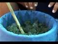 Bubble Bag Hashish From Shake, Leaf or Bud (Part 1 of 8)