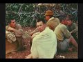 ww ii : rare color film : okinawa : japans last stand