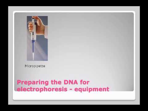 how to isolate dna from agarose gel