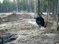 Såsen skogshuggare!