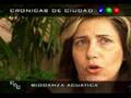 Biodanza Acuática