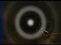 Darkside - Mass Murder & Alma Matter