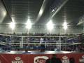 videos de -67 kgms. eliminatorias Cto. And. Muay Thai 08