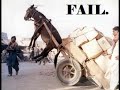 Donkey Fail