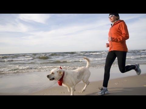 how to properly jog with your dog