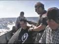 Style Renegade, David Guerin, Fishing and Flinging Hair in Baja Mexico