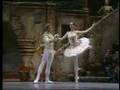 Ballet Don Quijote
