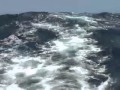 Nordhavn 55 Skie - Pacific Puddle Jump