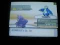 a quick 3 on 3 with my good buddy jamesyakura from da. ... pokemon deviant art jamesyakura battle nintendo ds pikachu stars music silver gold money ash rukario lucario dialga legit shaymin best fight words cgi09 platinum wifi ou uu bl nu uber diyon anime spoliers heart soul fun win lose draw rematch fail epic dawn brock misty fight lol 