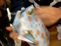 videos de P1090402
