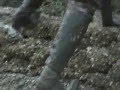 Mud play 4