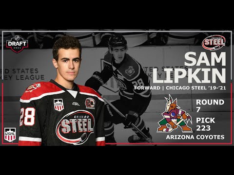 Sam Lipkin Highlights