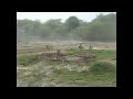 Click here to watch this video Arminas Jasikonis | Churchill motocross park