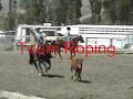 Mackay Rodeo 2007 Saddlebronc, Bareback, Steer Wrestling Etc Mackay Rodeo 2007 Saddlebronc, Bareback, Steer Wrestling Etc