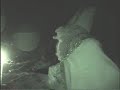 Sinterklaas!