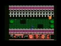 last stage. walkthrough remastered from a vhs tape, using encore enltv-fm video capture device. the year of gameplay is 2003, i guess. the noise/hum on sound was caused by a poor av cable that i used in nes. this game, released in 1990 by ultra games, is one of the most difficult games for nes. it took me a little more than an hour to finish the game, without using passwords that enabled him to advance stages, but i've had decorated many parts of the game before recorded the walkthough on vhs. so, due to it's insane difficulty, the game may take days (or months) to be completed by a 