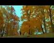  - MovieZen Video