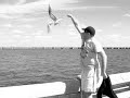 Bird Fishing V2