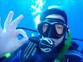 VIRGIN REEF by BLUEFINDIVERS NAXOS DIVING CENTER