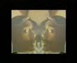 Tupac-Life-Goes-On