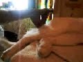 眠りネコ動画