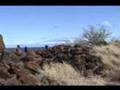 Donnie MacGowan Tours Wild Hawaii Composing Music Madly
