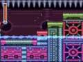 Rockman-and-Forte-In