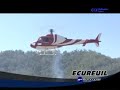 AS355N