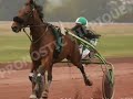 Chevaux de Course