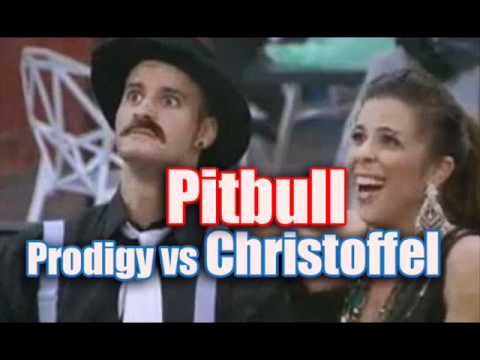 pitbull