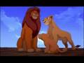 BSO Lion King Caribean Blue