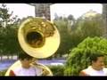 Ver Video