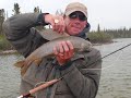 Monster fish of the far north part 2