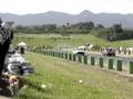 RATOEIRA MOTORSPORT ARRANCADA